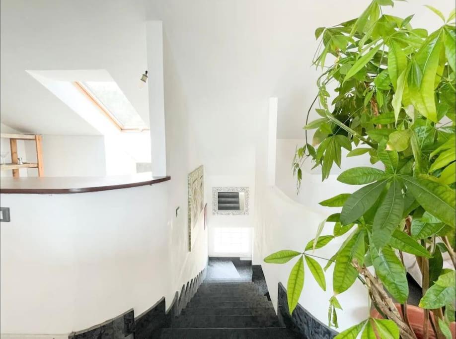 Mansarda Vista Mare A Zinola Apartment Savona Exterior photo